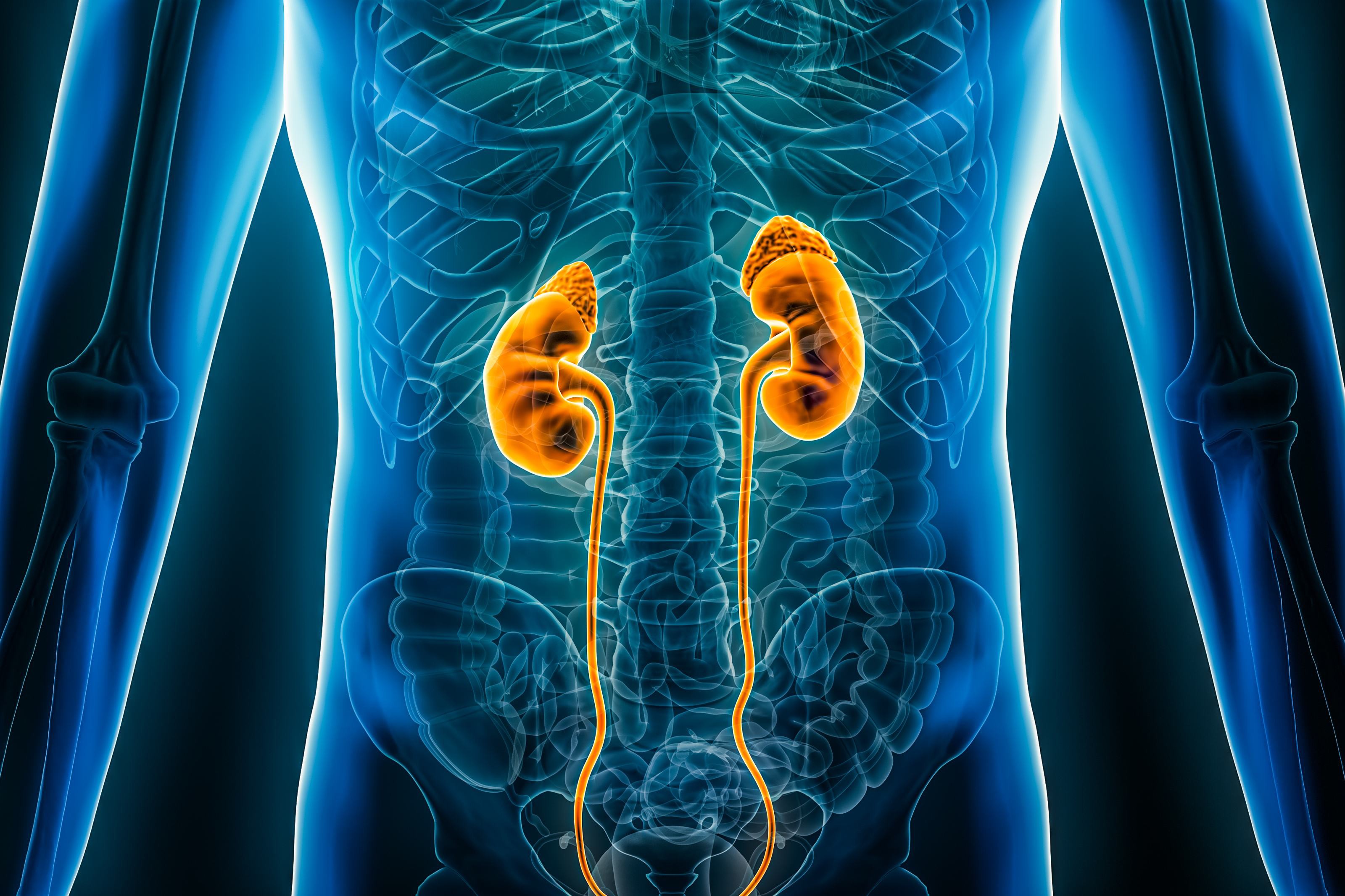 Tratamientos de urología avanzada