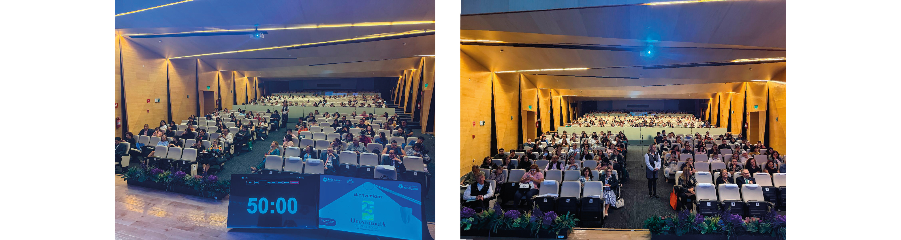Auditorio